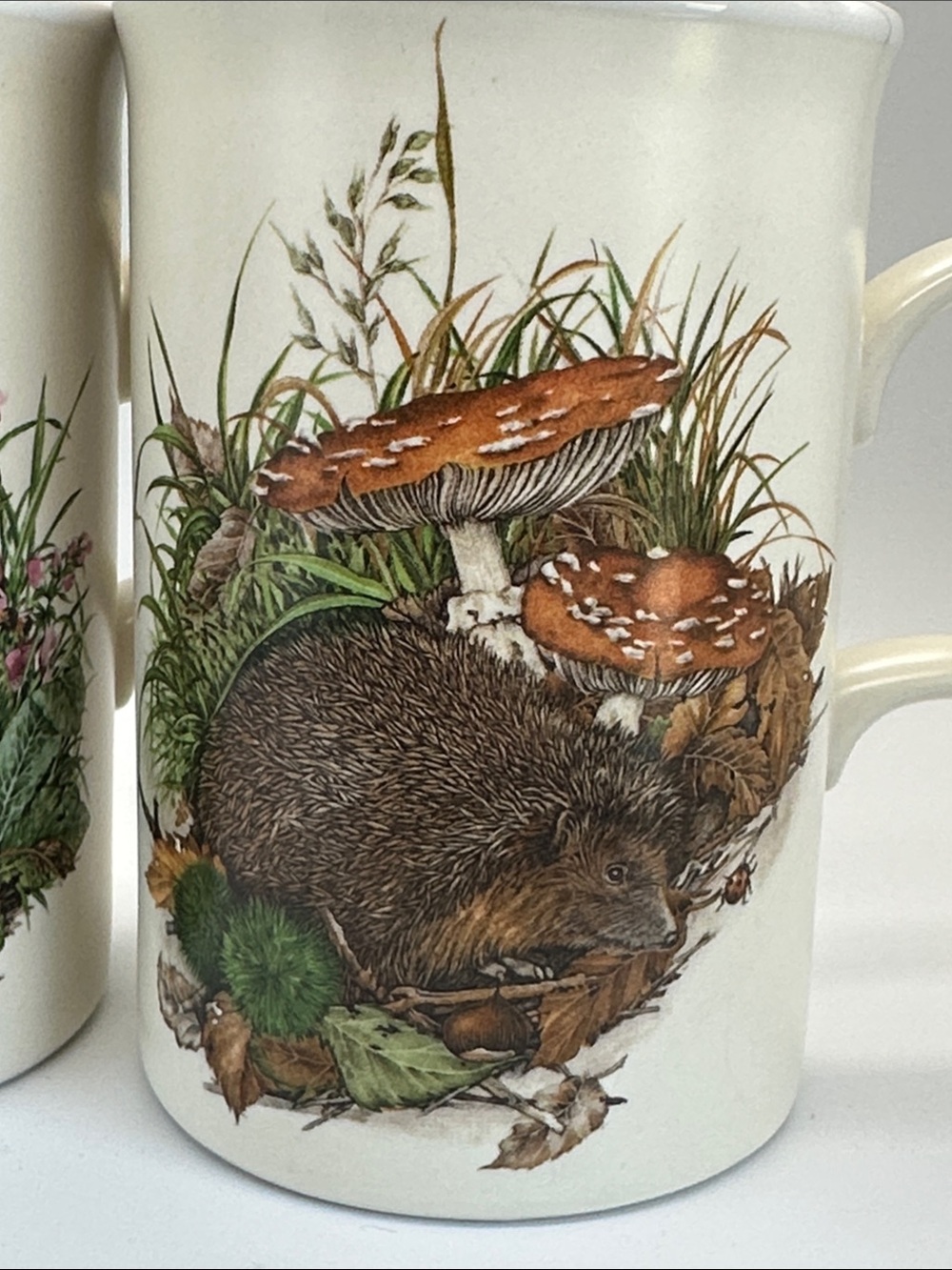 Woodland Animal Ceramic Mugs Set - Badger & Hedgehog 🐌🦡🦔🌿 - Picture 2 of 7